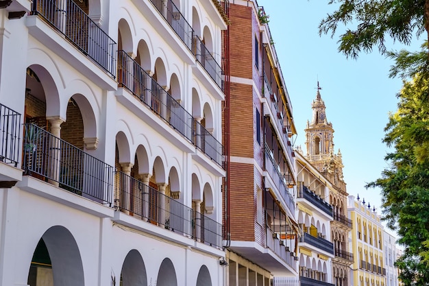 Pintorescos edificios con torre de iglesia medieval de la ciudad patrimonio de la humanidad de Ecija Sevilla