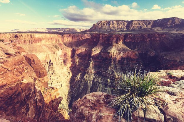 Pintorescos paisajes del Gran Cañón