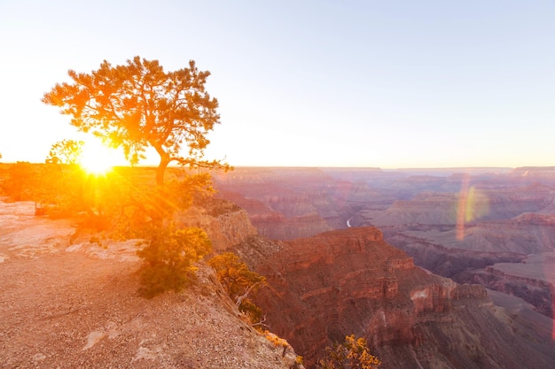 Pintorescos paisajes del Gran Cañón