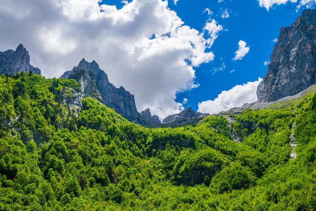 Pintorescos picos nevados de altas montañas.