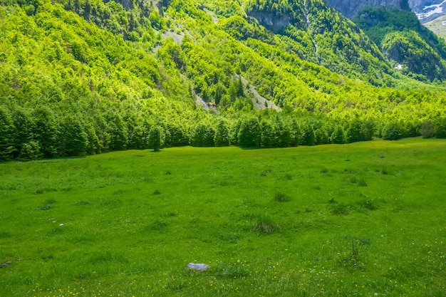 Pintorescos prados y bosques se encuentran entre las altas montañas