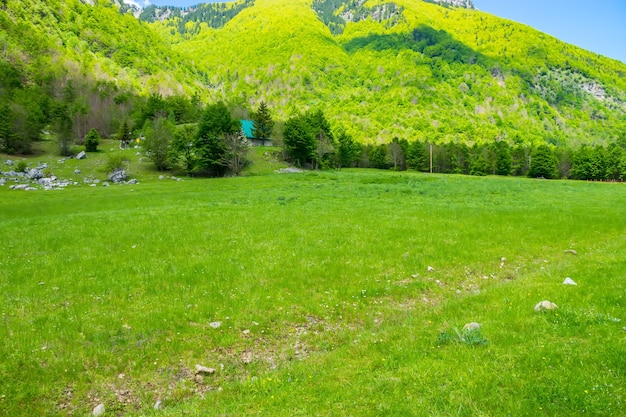 Pintorescos prados verdes cerca de las grandes montañas altas.