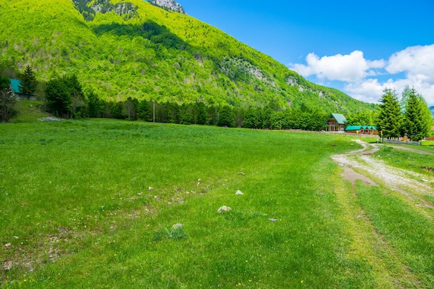 Pintorescos prados verdes cerca de las grandes montañas altas