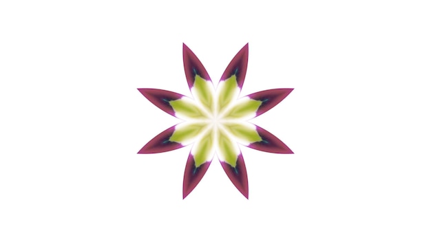 Pintura abstracta Pincel Tinta Explosión Propagación Concepto suave Patrón simétrico Caleidoscopio decorativo ornamental Movimiento Círculo geométrico y formas de estrella