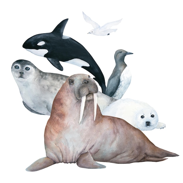 Una pintura de acuarela de un grupo de focas y una ballena.