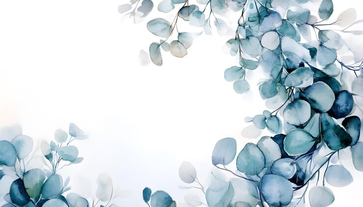 Pintura en acuarela de hojas de eucalipto azul sobre un fondo blanco