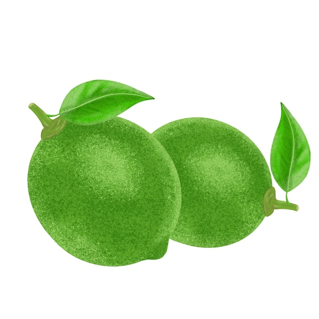 Pintura de color de ilustración de limón verde