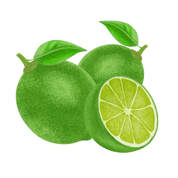 Pintura de color de ilustración de limón verde