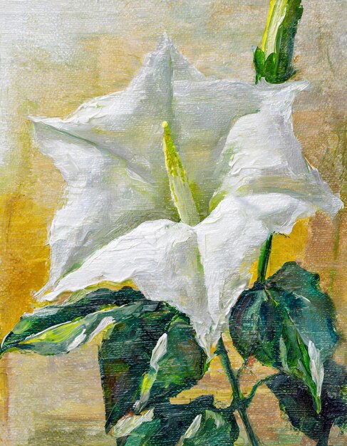 Pintura de arte abstrata de flores de Datura