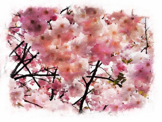 Pintura de diseño de flor de sakura rosa acuarela abstracta, ilustración de acuarela de sakura