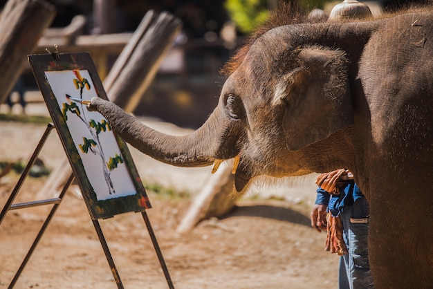 Pintura de elefante