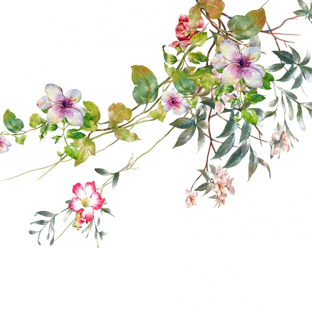 Pintura em aquarela de folhas e flores em branco