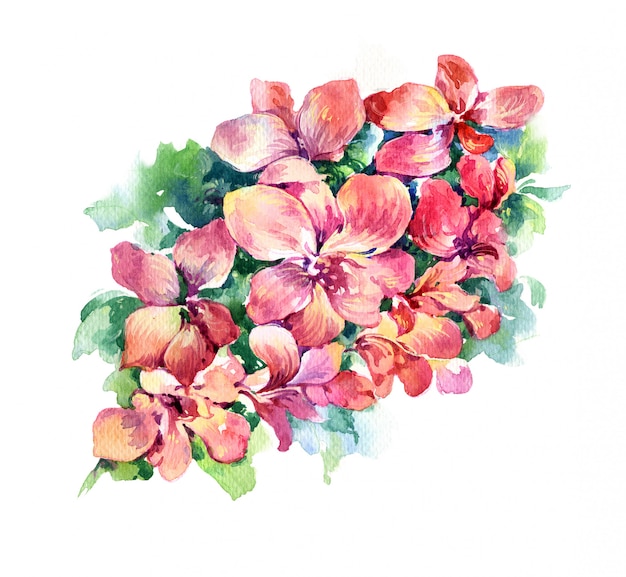 Pintura em aquarela de folhas e flores,