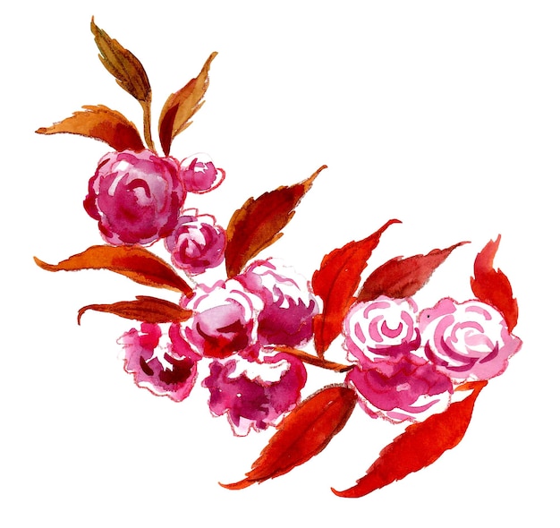 Pintura em aquarela de um ramo de rosas cor de rosa