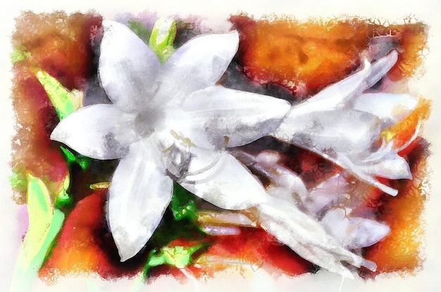 Pintura em aquarela flor de lírio florescendo arte digital moderna imitação de pintados à mão com corante aquarells