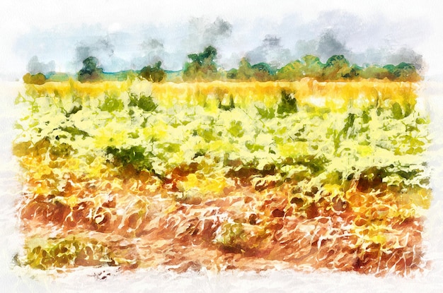 Pintura em aquarela paisagem suburbana em dia de sol brilhante imitação de arte digital moderna pintada à mão com corante aquarells