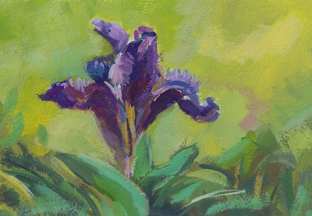 Pintura gouache de iris. Una hermosa flor de primavera en un prado. La ilustración del autor está hecha a mano.