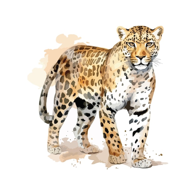 Pintura de jaguar blanco aislado de Jaguar Leopar en acuarela