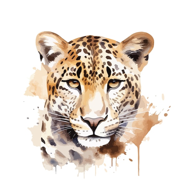 Pintura de jaguar blanco aislado de Jaguar Leopar en acuarela