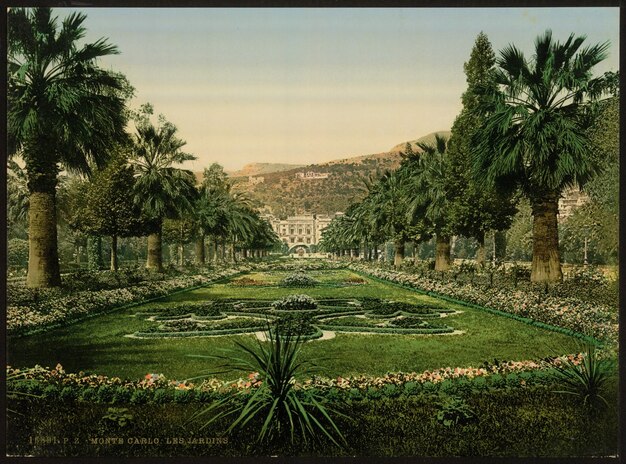 Foto una pintura de un jardín con palmeras y flores en el fondo