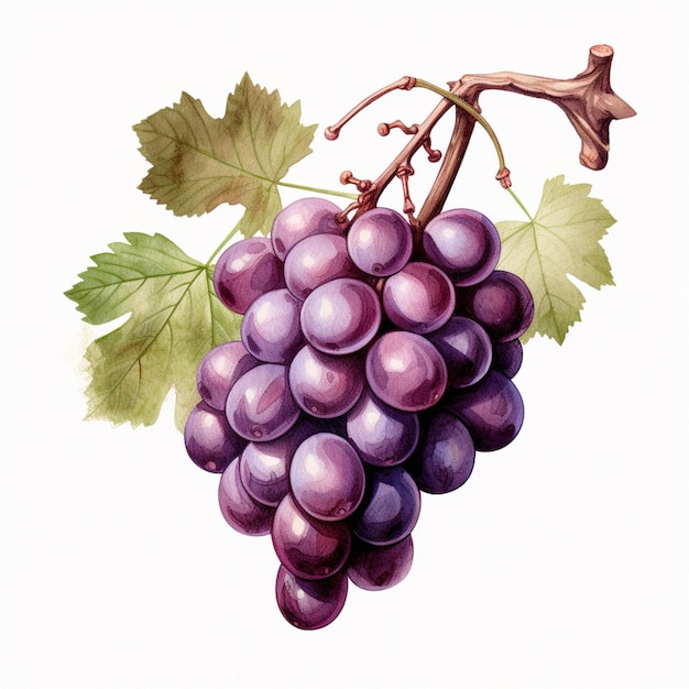 Una pintura de uvas con una hoja.