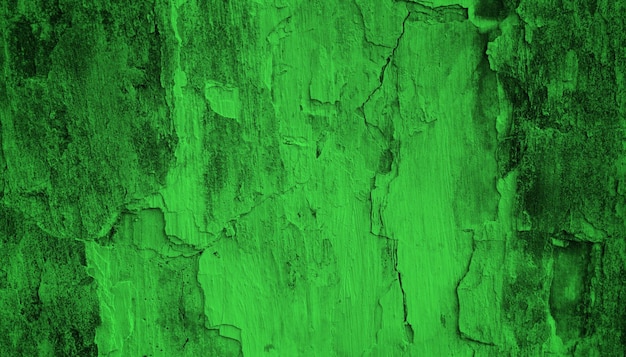 Foto pintura verde en una pared con un fondo verde oscuro.