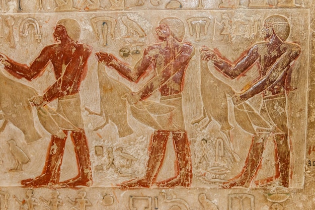 Pinturas y jeroglíficos egipcios antiguos tallados en la pared de piedra