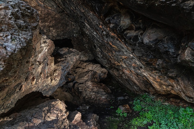 Pinturas rupestres en la cueva de Chiquita.