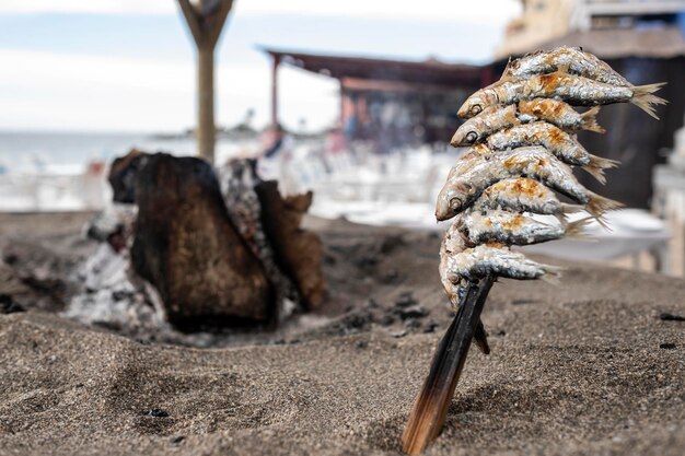 pinzas de sardinas picadas sobre tierra a la parrilla en la costa española