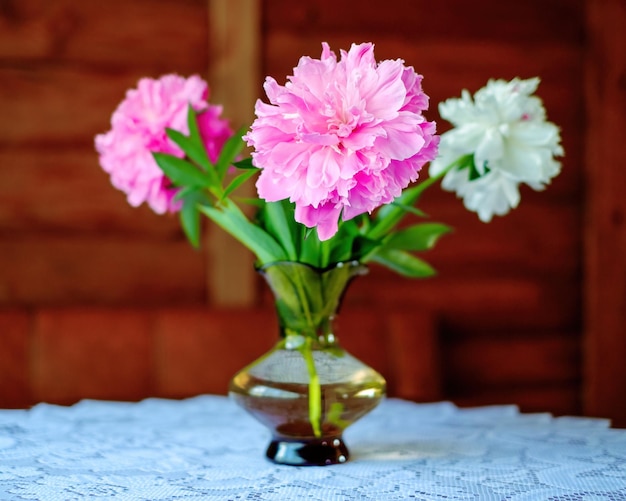 Pions Um buquê de flores em um vaso Foco seletivo