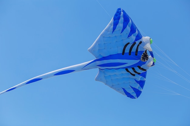 Foto pipas voando em um céu azul
