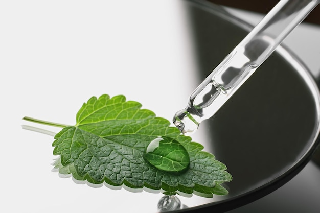 Pipeta com gota cosmética de gel e folha verde em placa de petri em sombras duras de fundo branco preto