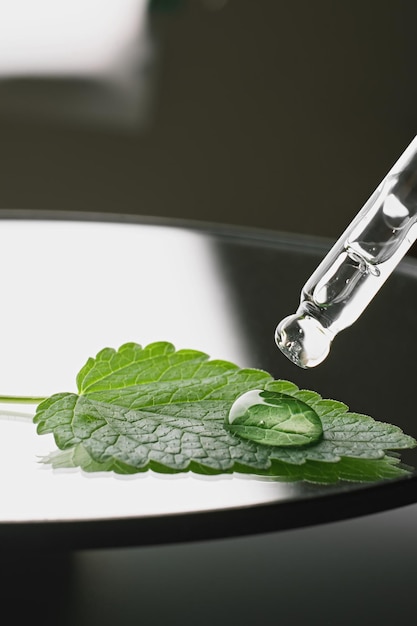 Pipeta con gota cosmética de gel y hoja verde en placa de petri sobre fondo blanco negro sombras duras