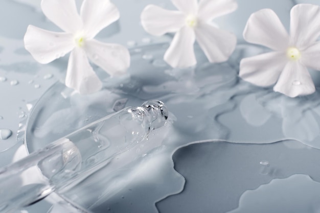 Pipettieren Sie kosmetisches Produkt und weiße Blumen in der Petrischale auf selektivem Fokus des grauen Hintergrundes