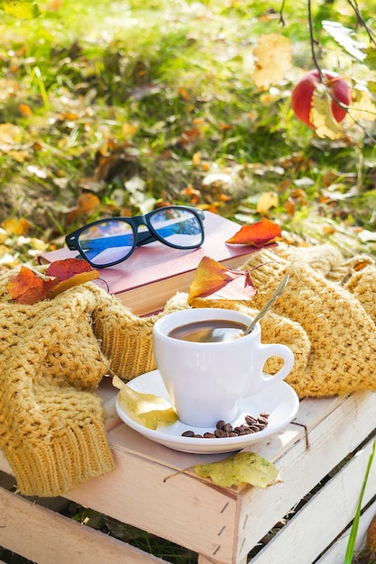 Piquenique aconchegante com xícara de café com leite sobremesa de rosquinha de açúcar doce com livro de glacê de chocolate bebidas quentes manta quente ao ar livre no jardim parkapple no ensolarado verão dia de outono