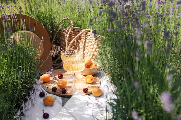 Piquenique de verão em um campo de lavanda