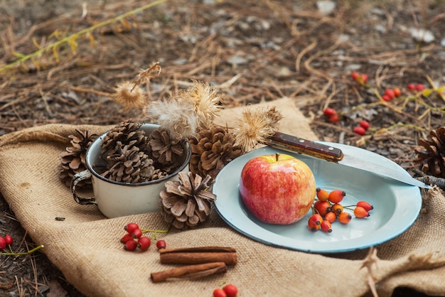 Piquenique em uma floresta de pinheiros. Uma tigela de metal vintage com uma maçã e frutos rosas em uma toalha de mesa de aldeia com cones ao redor.
