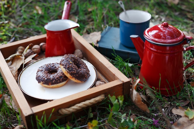 Piquenique na floresta. chá e donuts. cair e relaxar