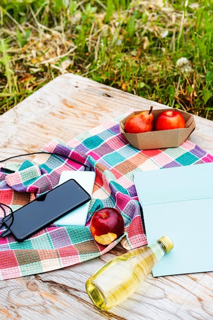 Foto piquenique na natureza em um dia ensolarado carregamento de smartphone a partir de banco de energia livro frutas e bebidas