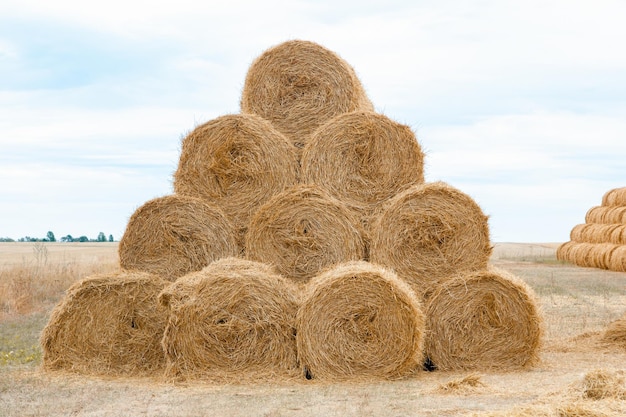 Pirâmide de pilhas fortemente retorcidas de feno dourado no final do verão conceito de agricultura