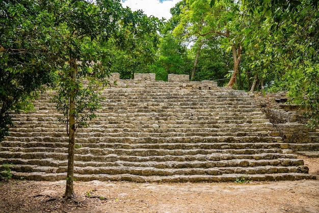 Pirâmide Nohoch Mul em Coba. Pirâmide e templo com degraus de pedra nas ruínas maias de Coba