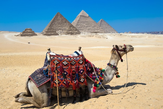 Pirâmides com um lindo céu de Gizé no Cairo Egito