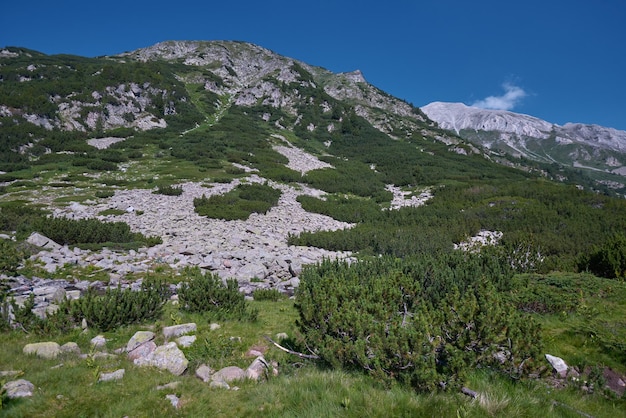 Pirin-Gebirge am Sommertag Bansko Bulgarien