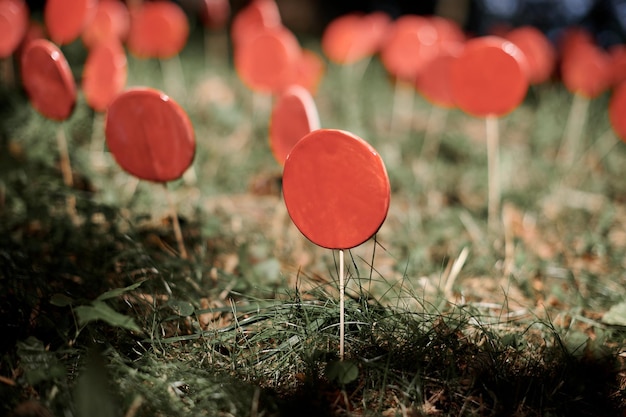 Pirulitos vermelhos no palito contra objetos de arte terrestre ao ar livre de grama verde para o conceito ambiental