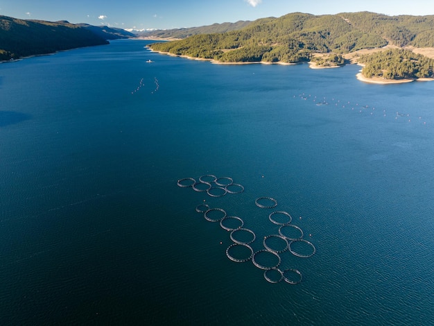 Piscifactoría de salmón en la vista aérea del río