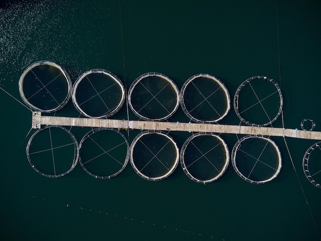 Piscifactoría de truchas en la vista aérea del río