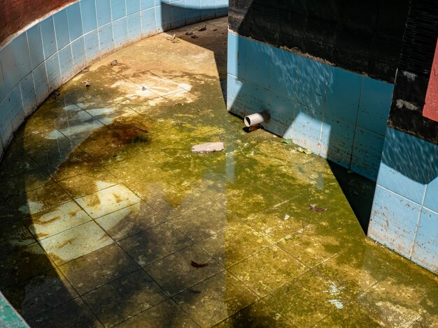 La piscina de agua del jardín está descuidada y tiene mucho musgo.