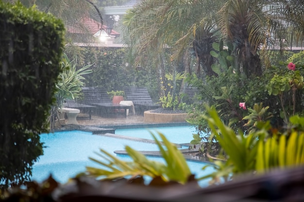 piscina al aire libre en el jardín tropical del hotel bajo la lluvia.