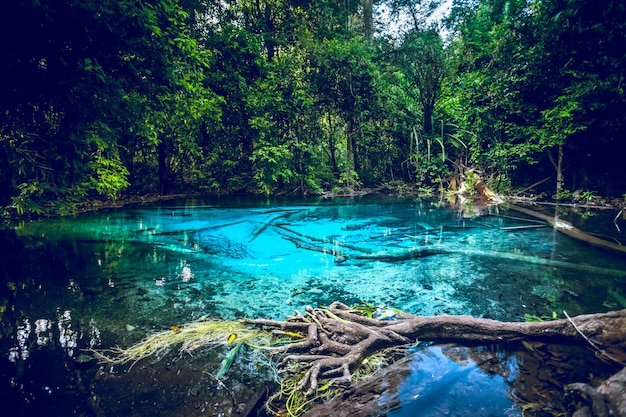 Piscina azul esmeralda en Tailandia. Hermoso paisaje