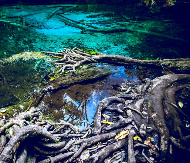 Piscina azul esmeralda